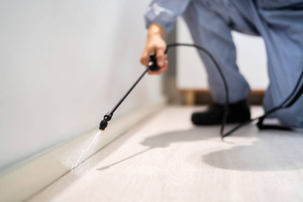 Licensed Fumigation Services service in Cockeysville, MD - Nex Pest Control