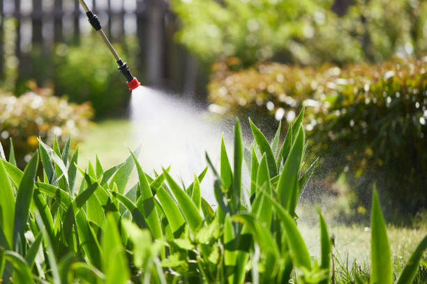 24/7 Emergency Fumigation Services experts in Cockeysville, MD