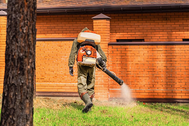 Trusted Cockroach Control service in Cockeysville, MD - Nex Pest Control